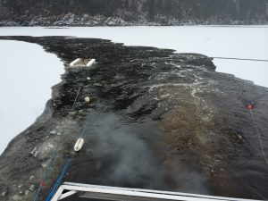Saguenay Fjord Survey